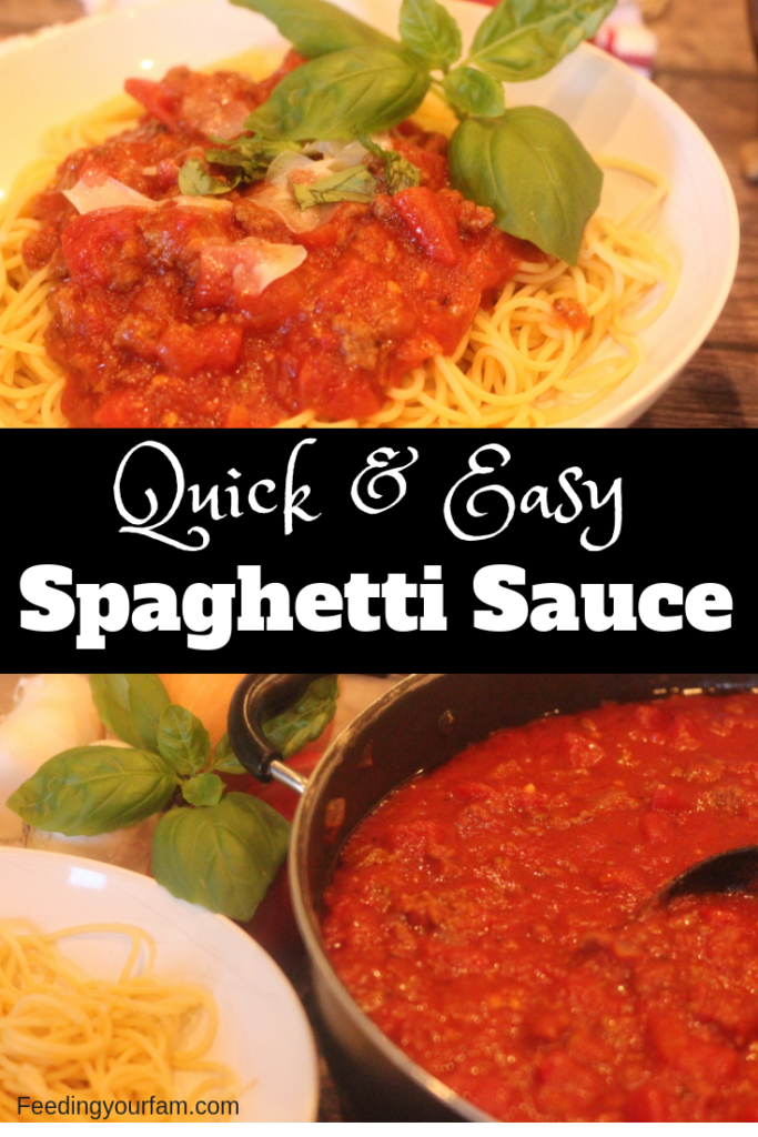 Spaghetti Sauce