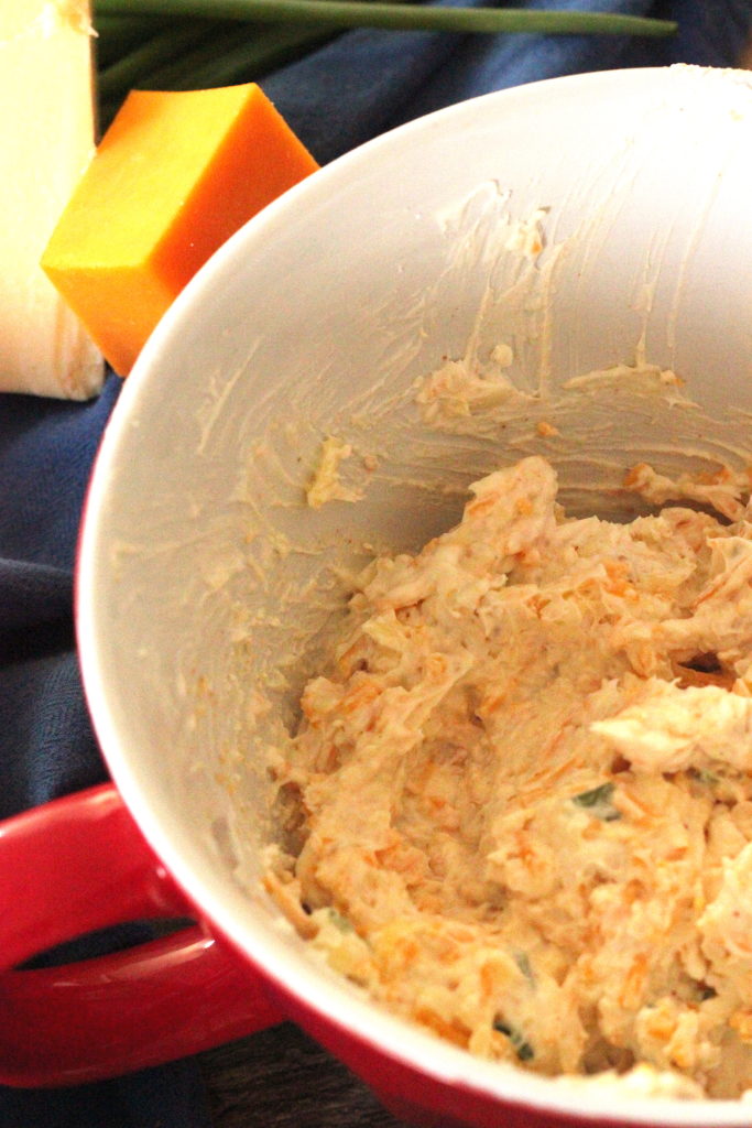 Mixed up bacon cheddar cheese dip