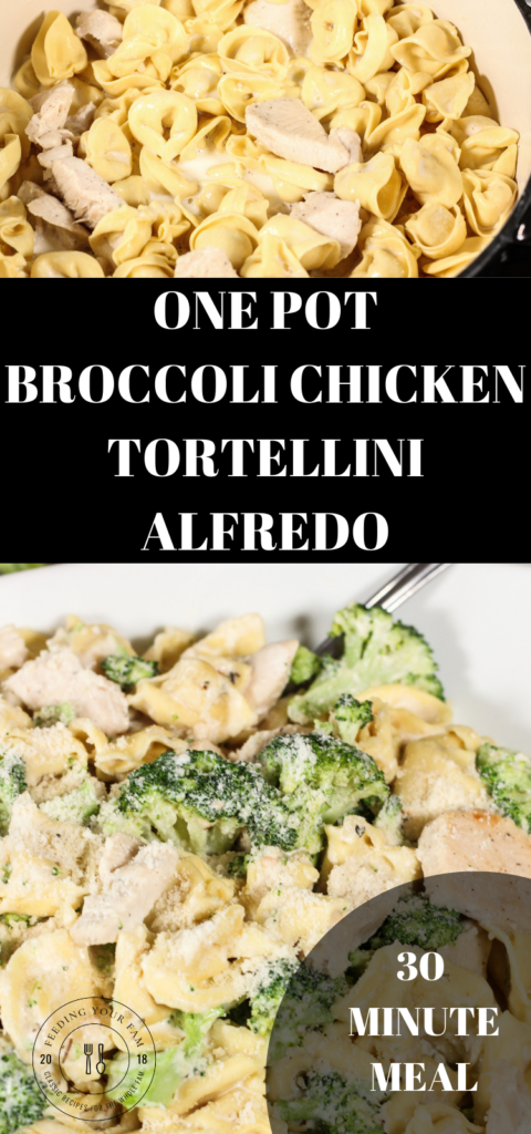 tortellini with chicken and broccoli in a white alfredo sauce on a white platter