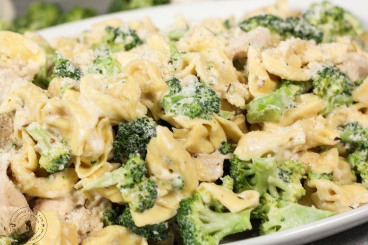 This ONE POT BROCCOLI CHICKEN TORTELLINI ALFREDO has a creamy sauce covering bite sized pieces of broccoli and chicken, perfectly seasoned and of course quick for a simple weeknight meal! #alfredosauce #quickmeal #easyrecipes #dinnerideas #broccoli #tortellinirecipes broccoli, chicken and tortellini in a cream sauce on a white dish