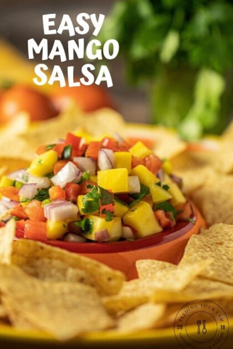 This Easy Mango Salsa Recipe is a simple homemade salsa full of mango, red onion, jalapeno, tomato, cilantro, and red pepper, drizzled with lime juice and a touch of salt. This is a salsa recipe that you will come back to all the time.