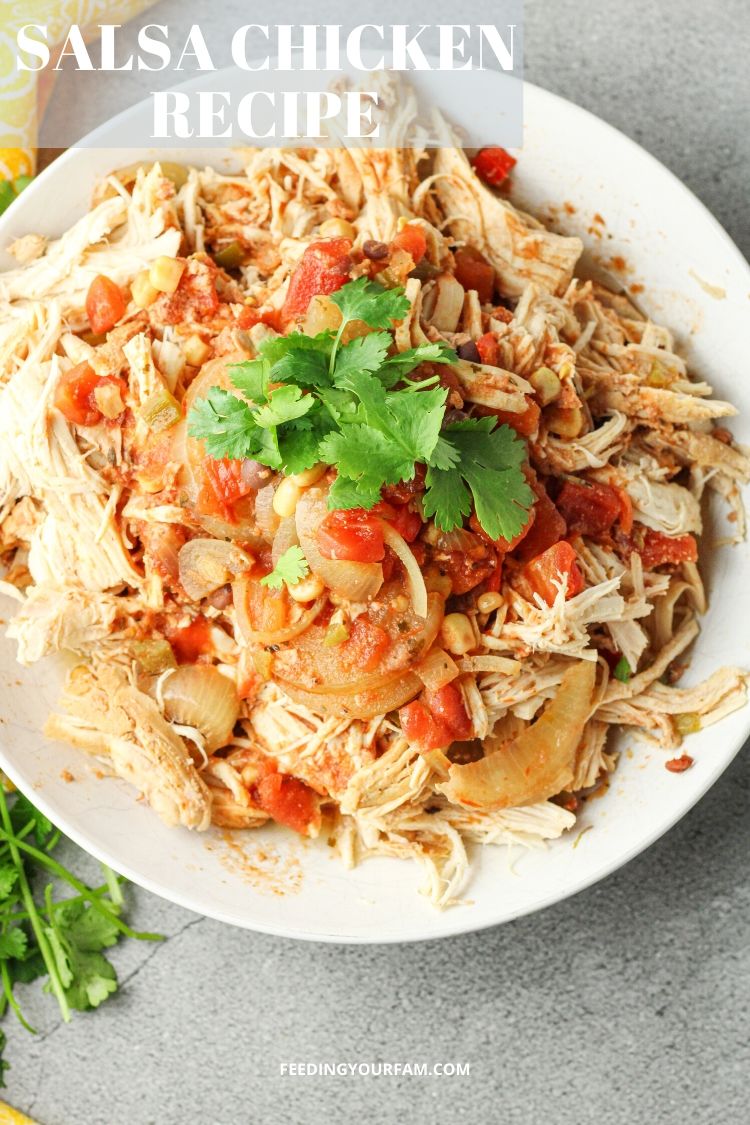 This Salsa Chicken Recipe only takes 3 ingredients to make and is a simple dump and cook recipe. All you need for this tender chicken recipe are chicken breasts, salsa and a slow cooker.
