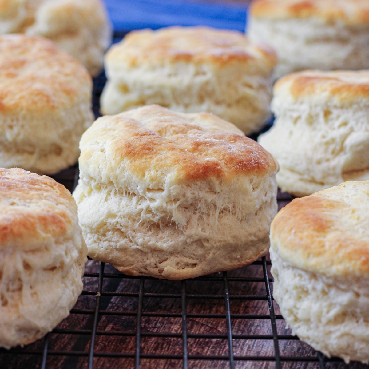 tall buttermilk biscuits on a cooling rack