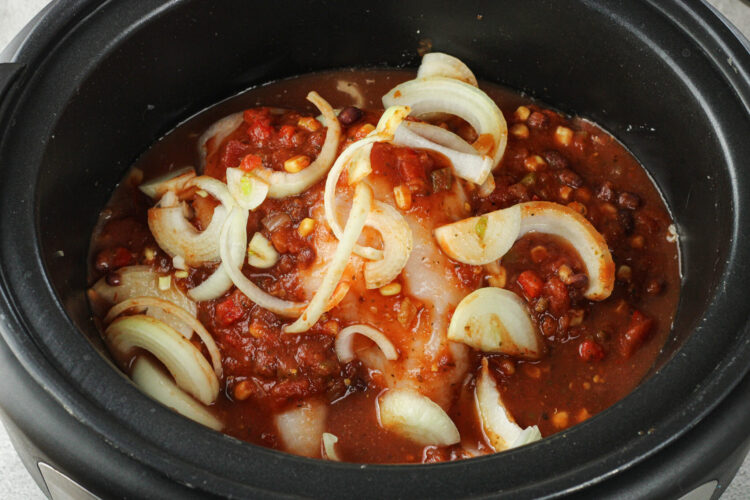 chicken, onions and salsa in a crock pot