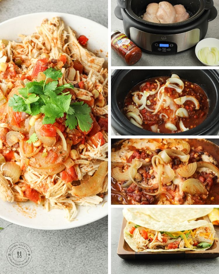 salsa chicken collage