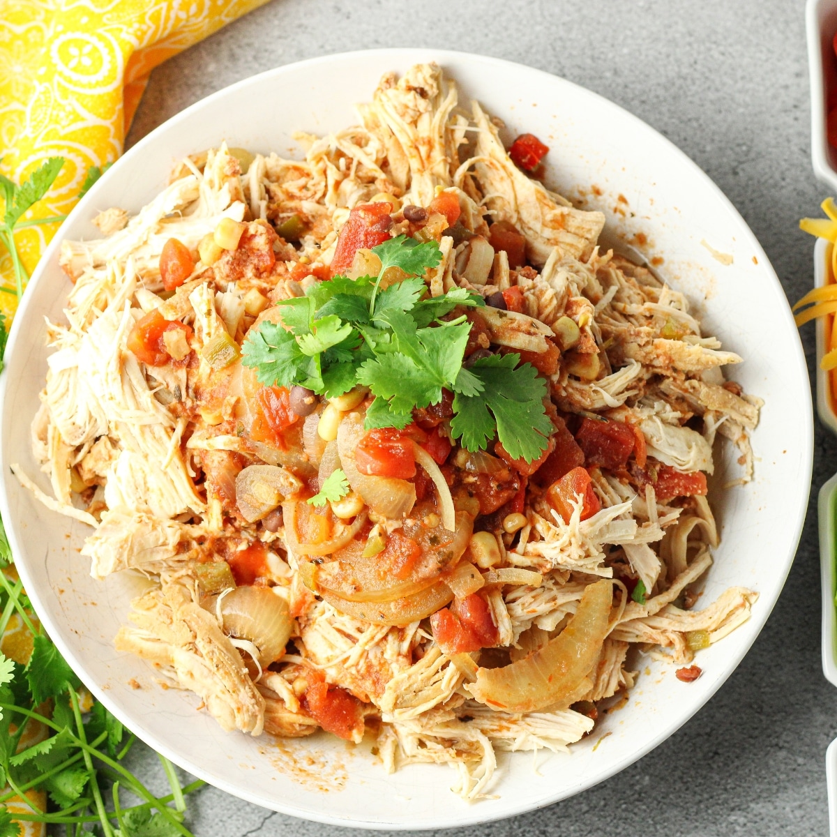 shredded chicken on a white plate