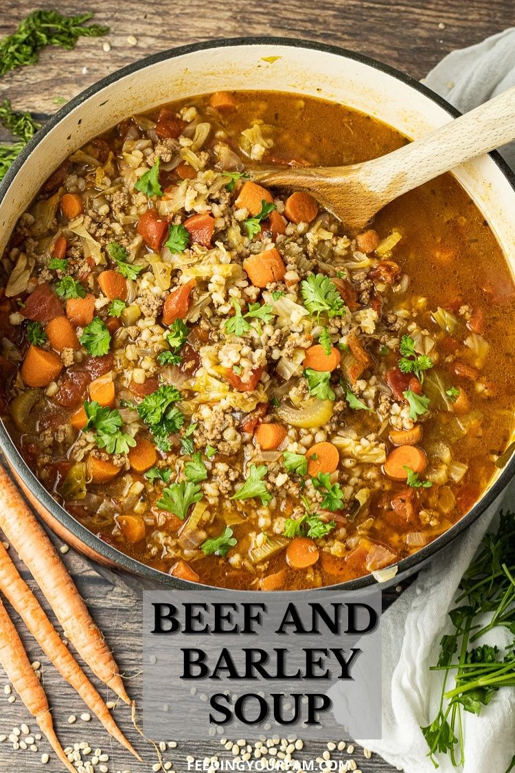 Beef and Barely Soup is a classic, comfort soup recipe made with ground beef, vegetables and simple spices. This Beef and Barley Soup recipe is a classic that has been in the Fam for generations. 