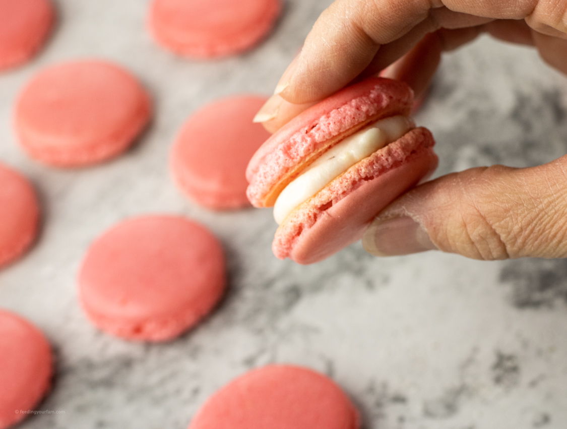 holding a pink macaron
