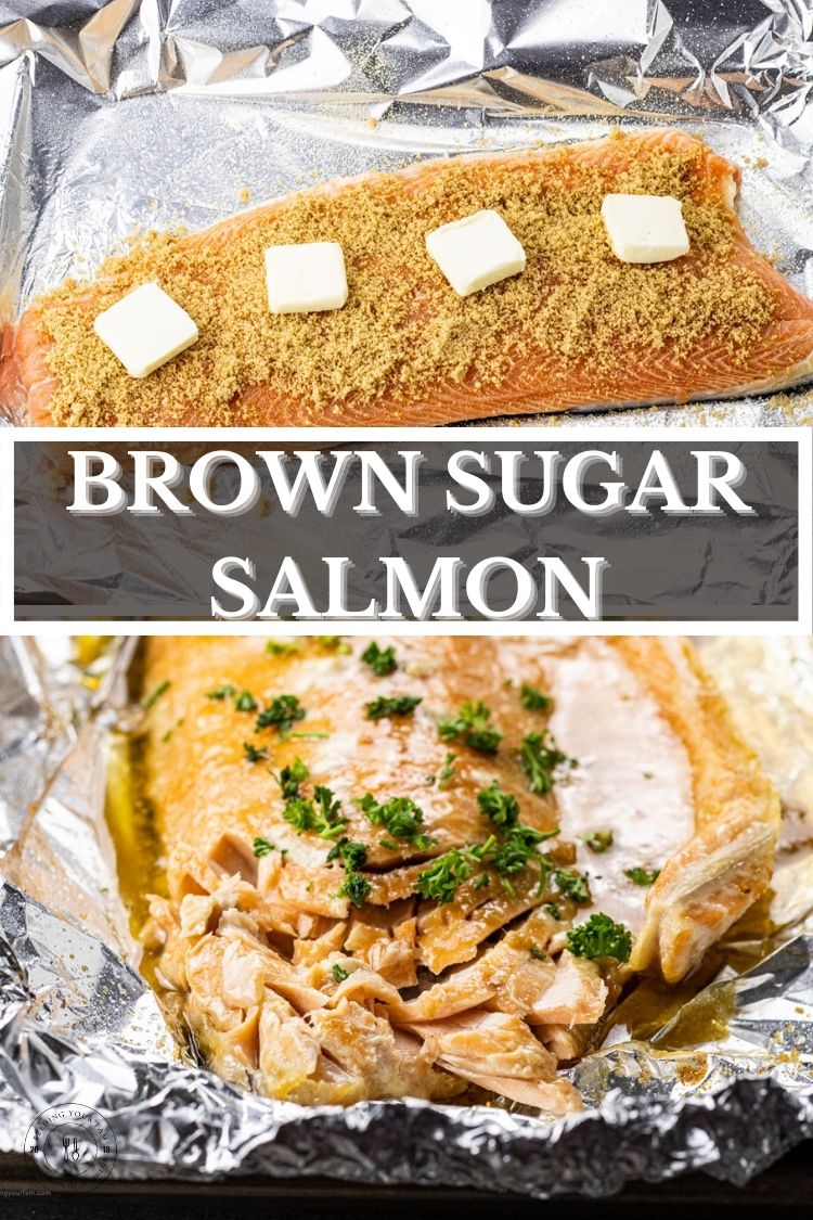 Brown Sugar Salmon is so simple to make, uses just a few simple ingredients and is ready in just 30 minutes.