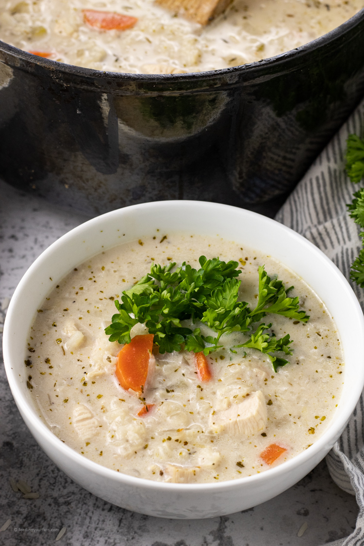 bowl of creamy chicken soup with rice topped with parsley