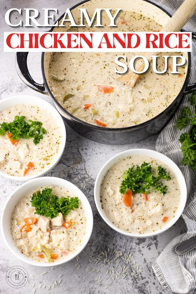 Creamy Chicken and Rice Soup is loaded with vegetables, chicken, rice and a creamy base! Ready in just 30 minutes and so easy to make. 