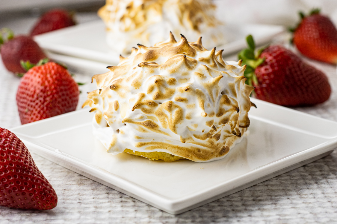 toasted meringue