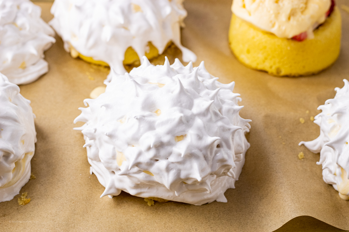 meringue topped baked alaska