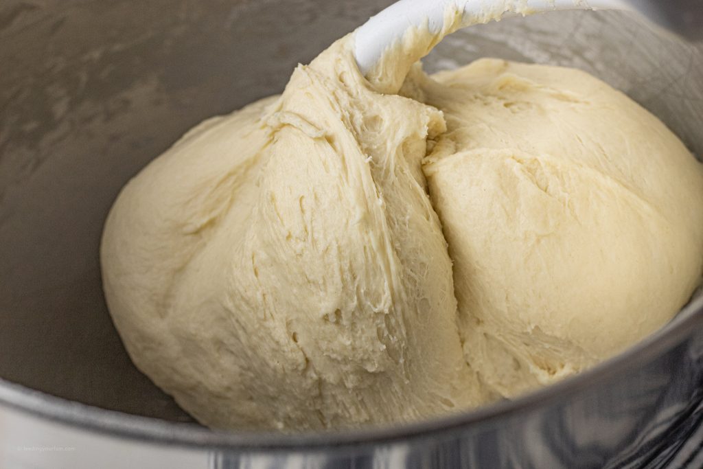 bread dough in a mixing bowl