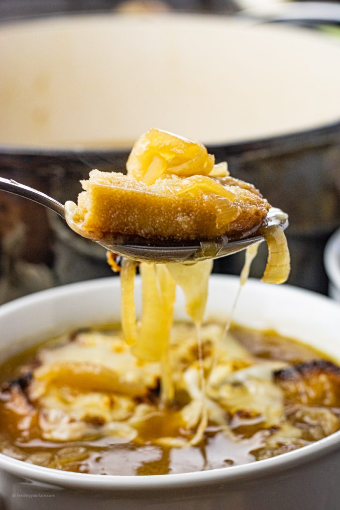 spoon scooping up some onion soup