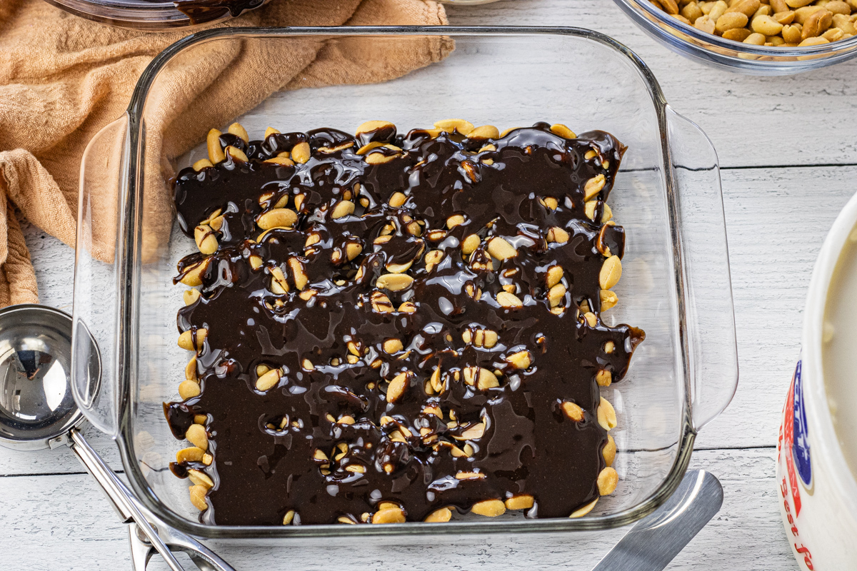 peanuts drizzled with hot fudge