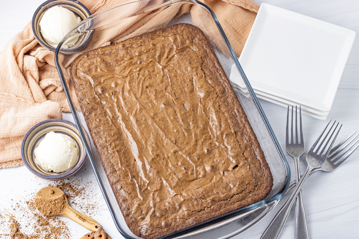 9 x 13 inch pan with chocolate brownies