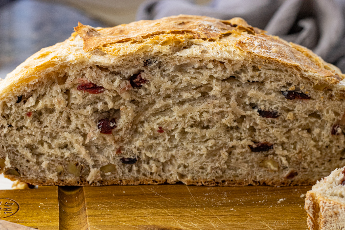 Close-up of sliced cranberry walnut bread showing soft texture with pieces of cranberry and walnut.