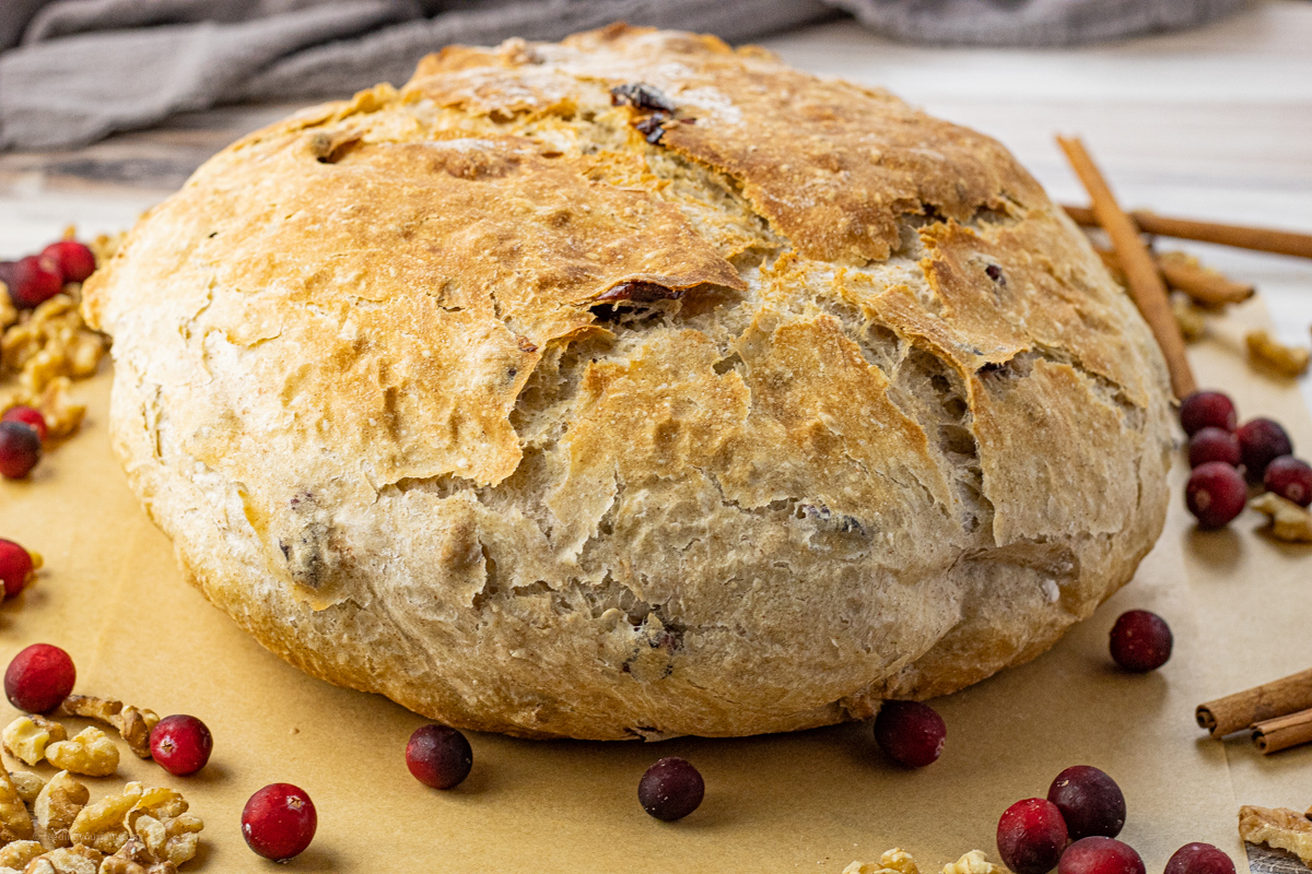Freshly baked cranberry walnut bread in a cast iron Dutch oven with parchment paper.