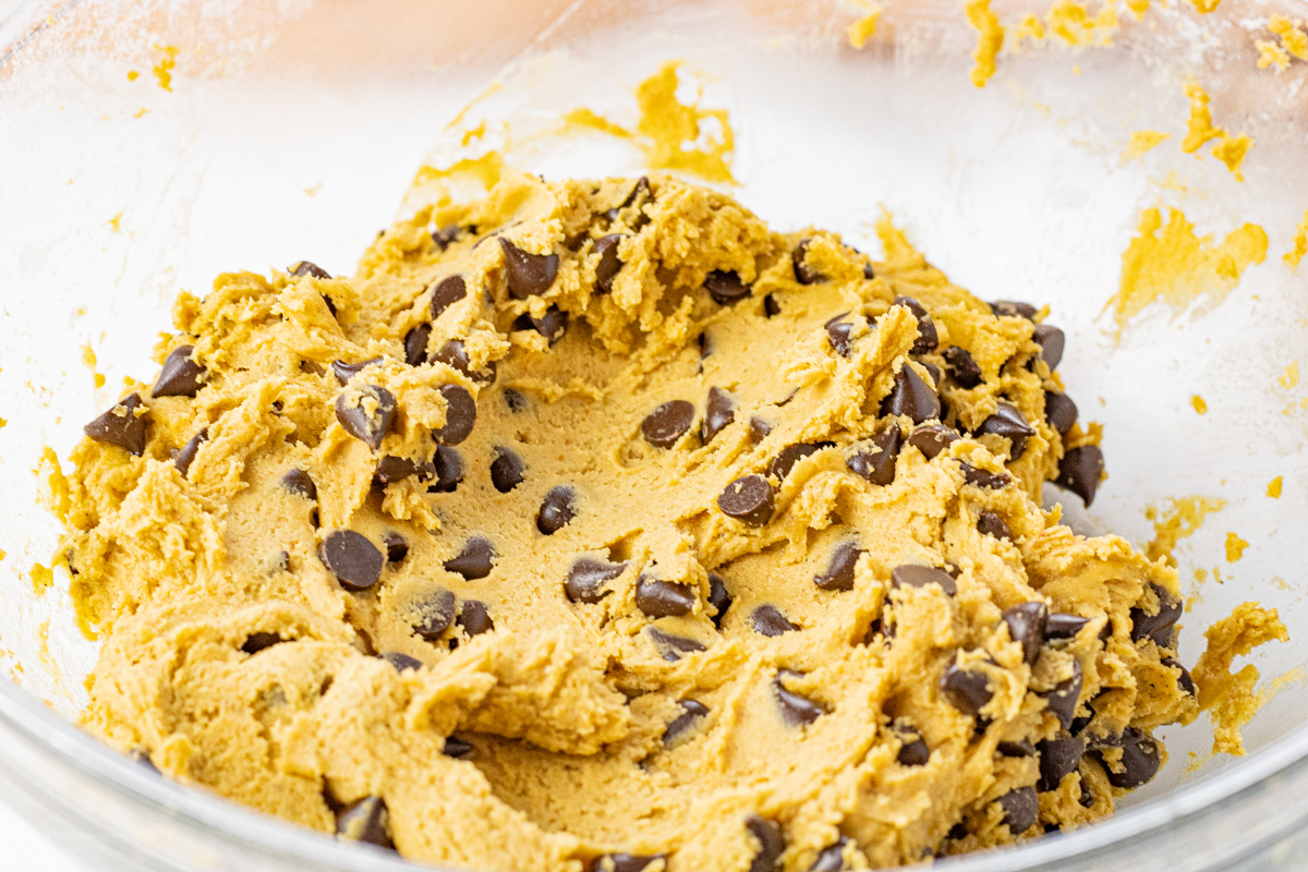 pumpkin chocolate chip cookie dough