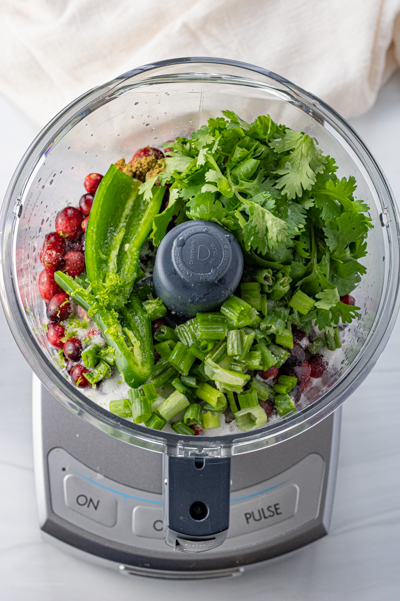 cranberries, cilantro, jalapeno, green onions in a food processor