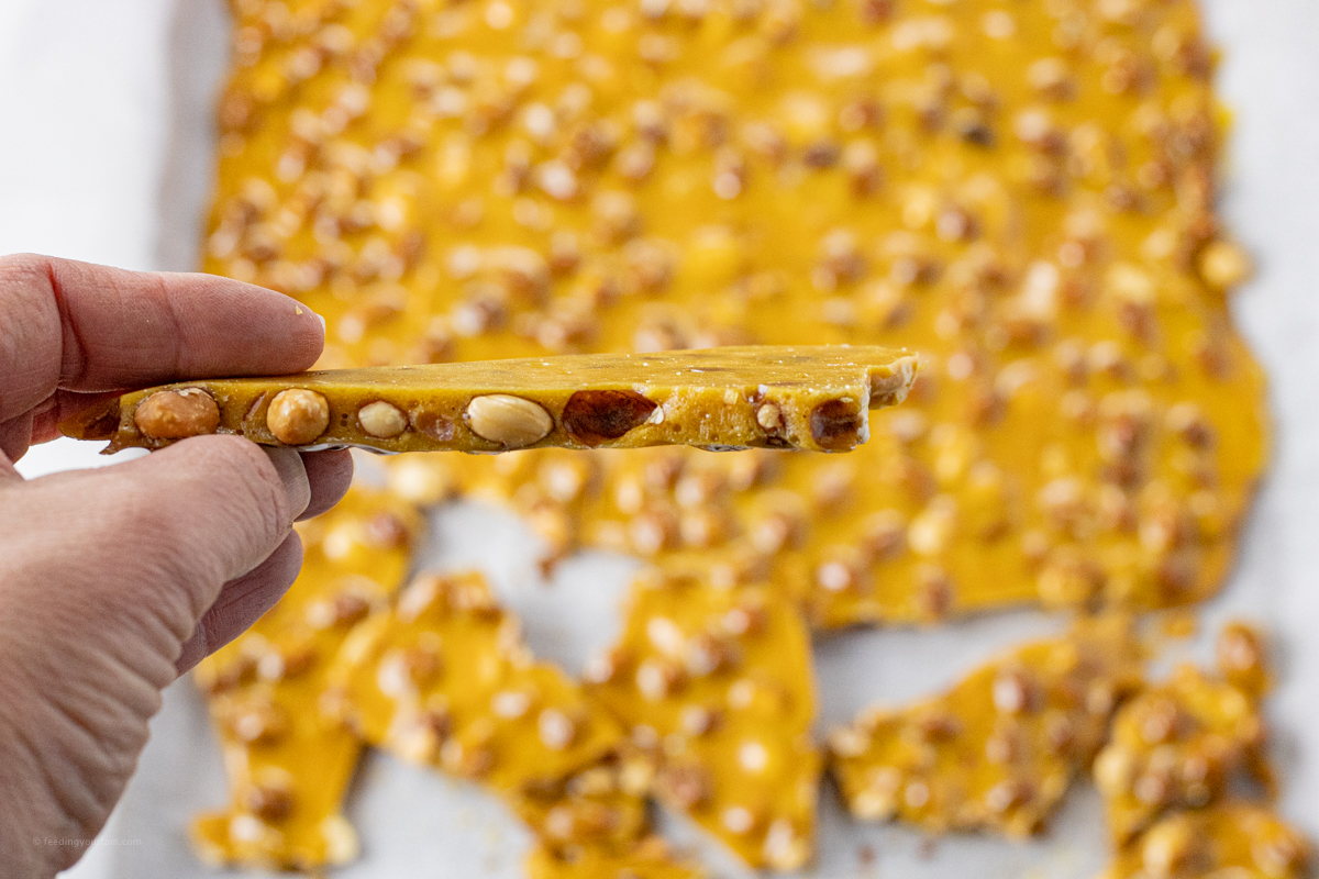 hand holding up a piece of broken peanut brittle