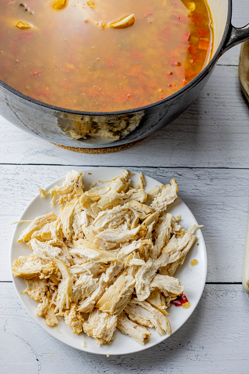 shredded chicken on a white plate