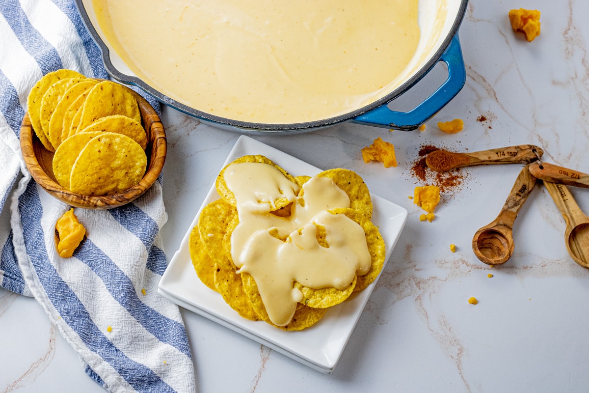 round tortilla chips topped with melted cheese sauce