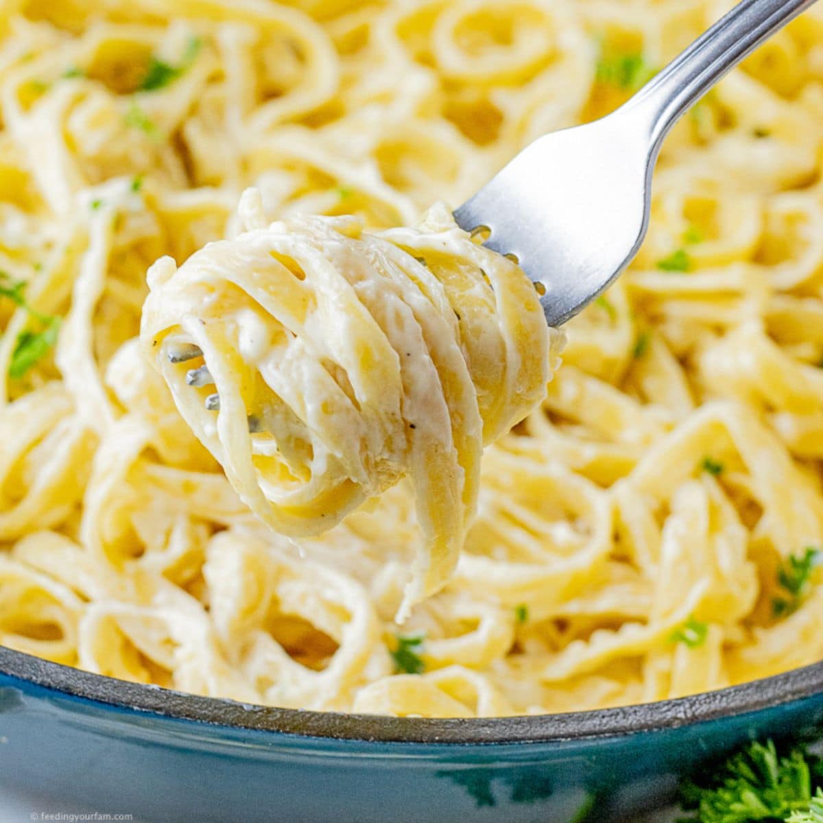 homemade alfredo sauce with pasta in a skillet