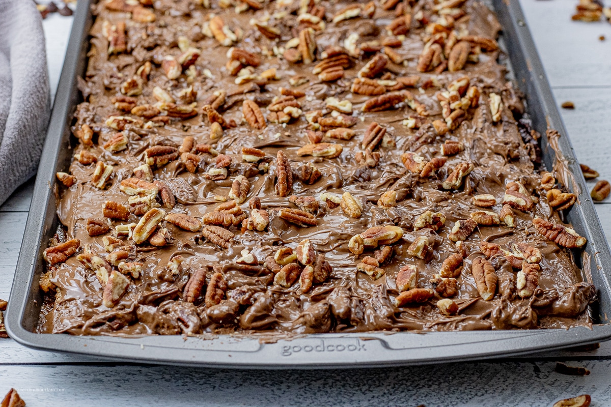 graham cracker topped with melted chocolate chips and pecans