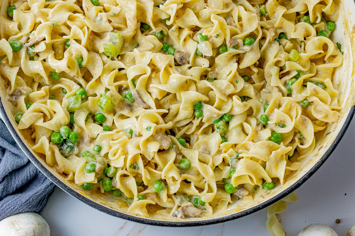 egg noodles in a creamy mushroom, tuna sauce