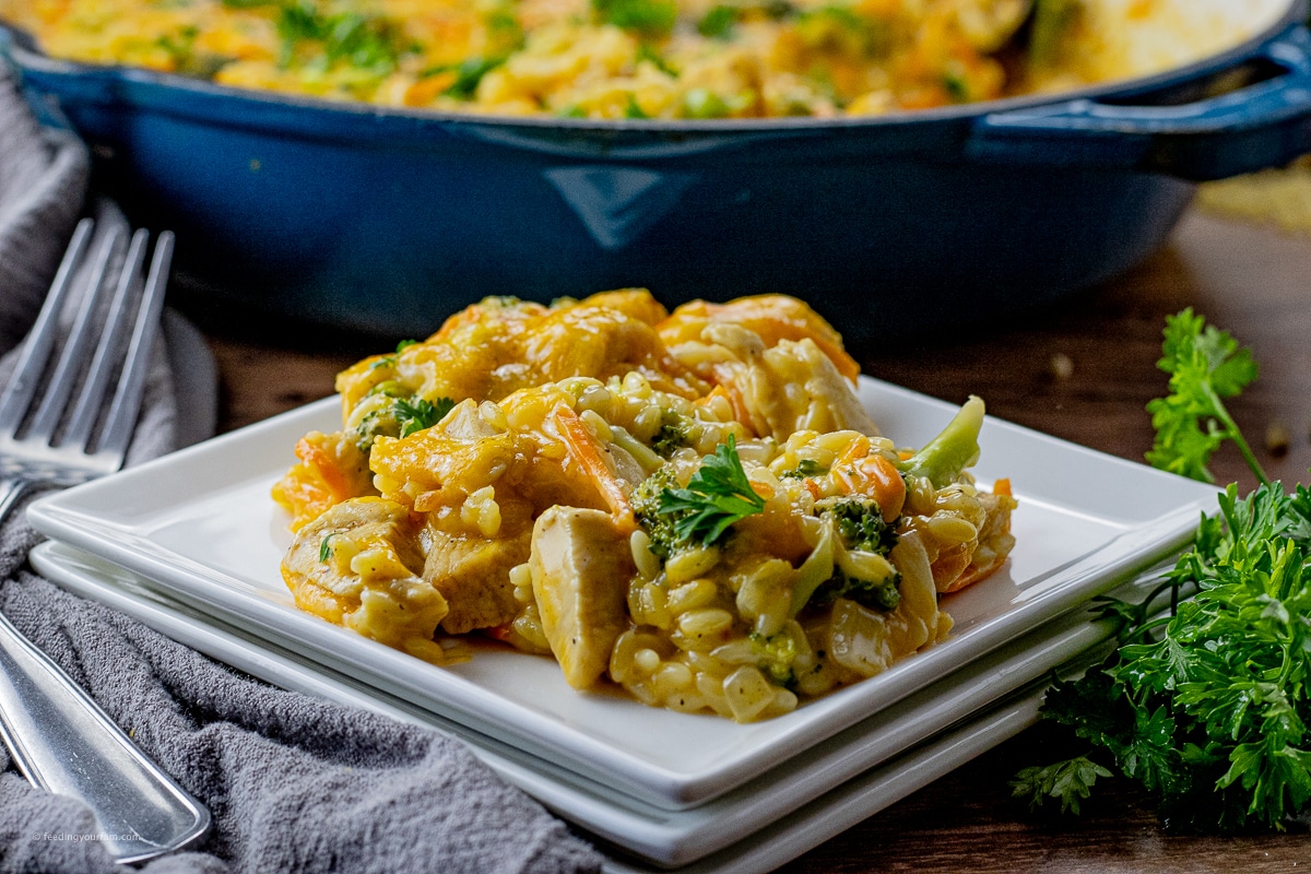 chicken orzo pasta dish on a white plate