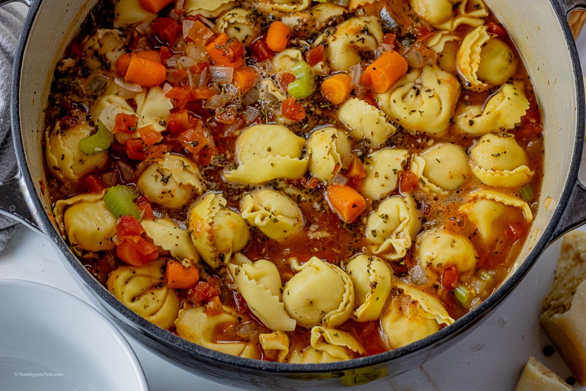Loaded with veggies and simple ingredients, this Easy Tortellini Soup Recipe will become a regular on your comfort foods menu. Ready in under 20 minutes for a quick meal. big pot of tomato tortellini soup with carrots and celery