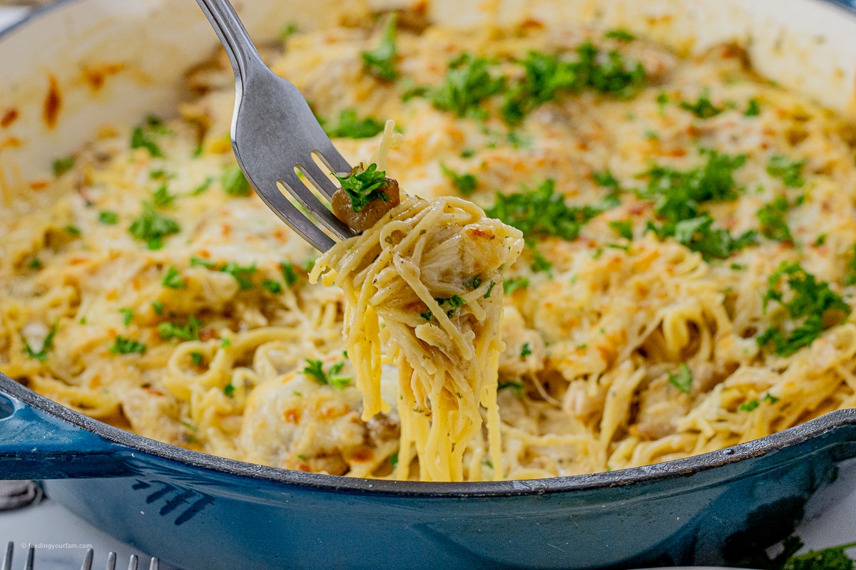 fork with swirled pasta on it in a cheesy sauce with mushroom and chicken