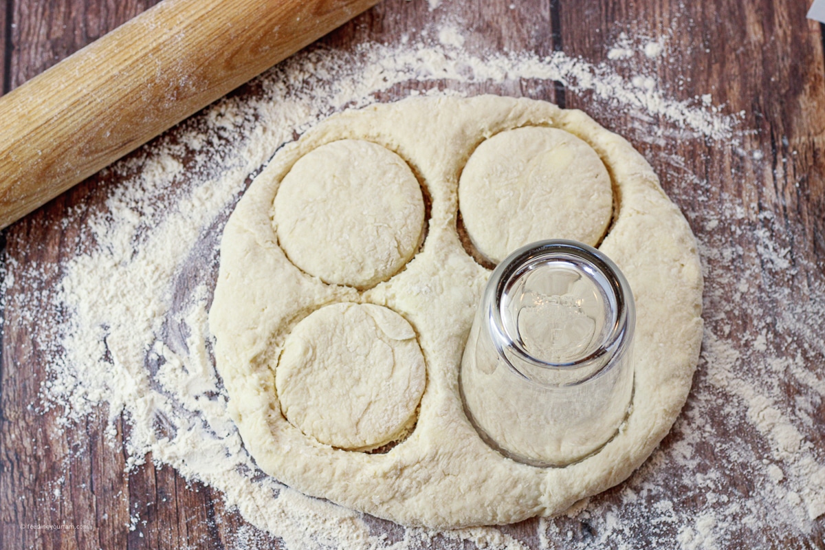 using a glass drinking glass to cut out biscuits