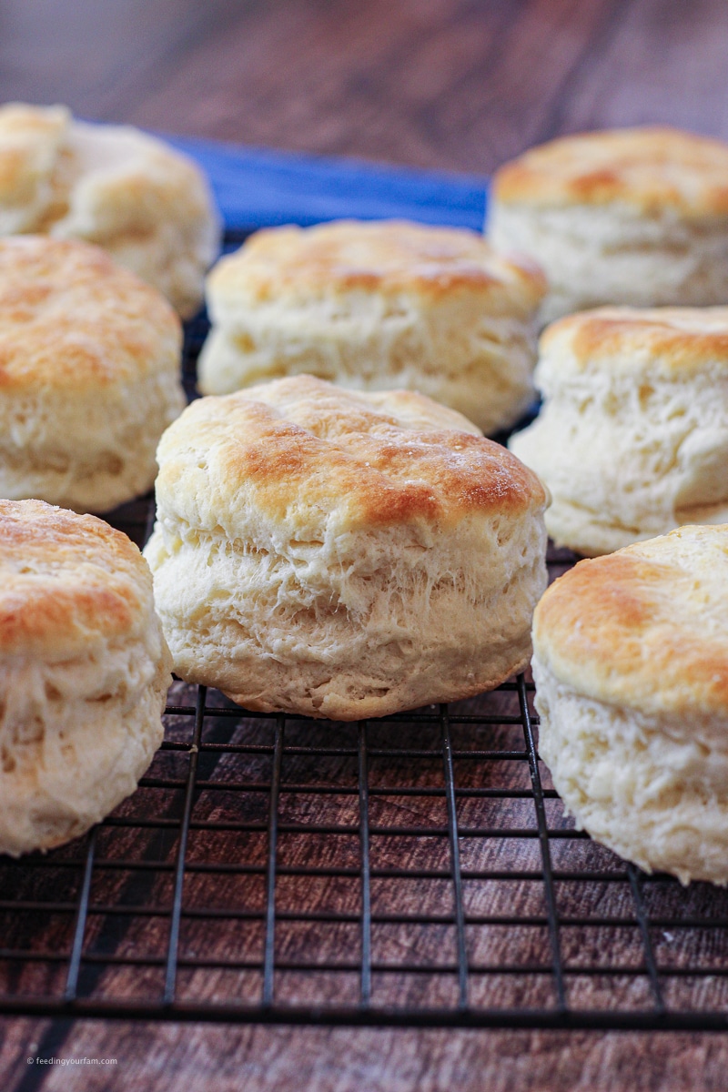 biscuits on a cooling rack
