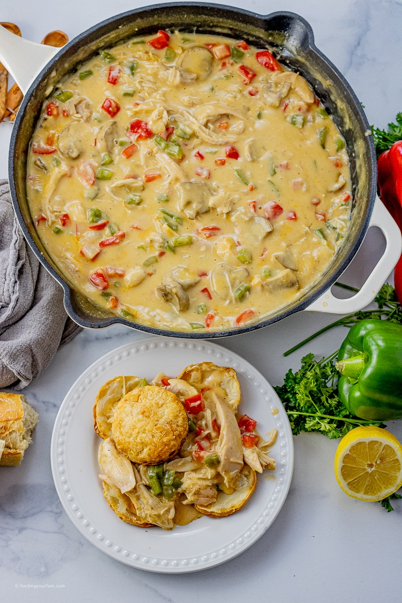 chicken, red, green peppers, mushrooms in a gravy sauce in a cast iron pan