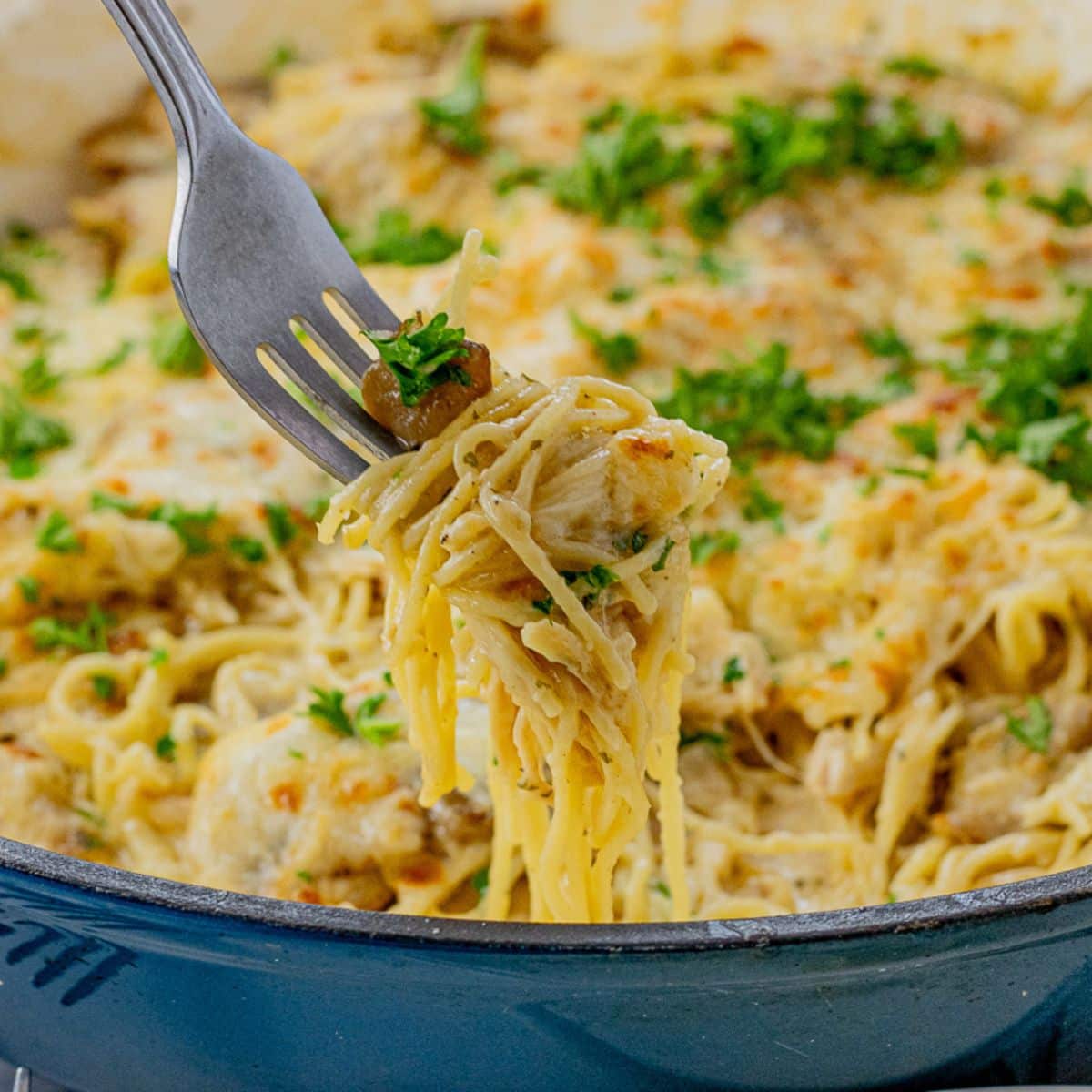 fork swirled with thin pasta from a chicken tetrazzini recipe