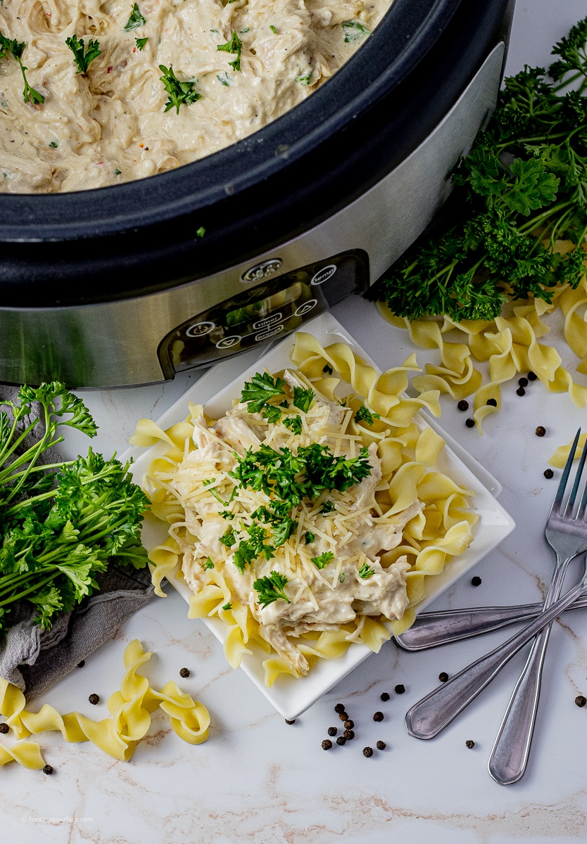 creamy, shredded chicken on top of egg noodles on a white plate