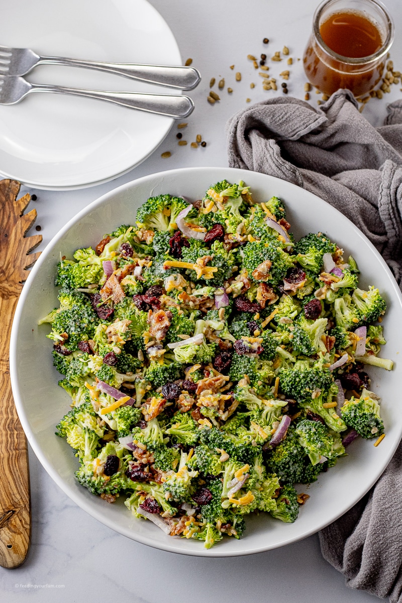 salad made with small pieces of broccoli, bacon, sunflower seeds and dried cranberries