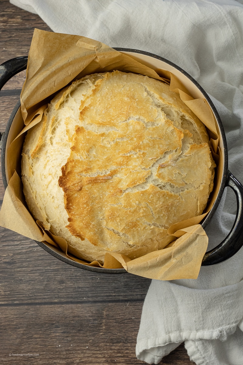no knead dutch oven bread in a cast iron pot