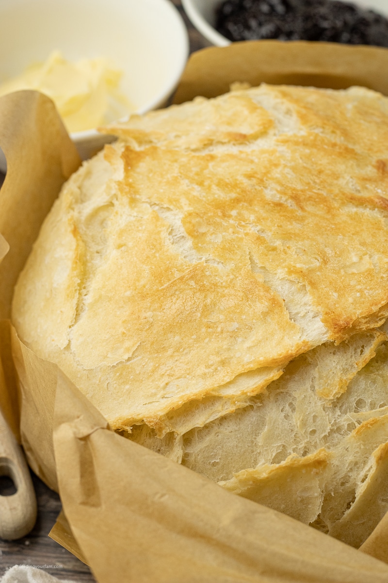 homemade artisan dutch oven bread recipe