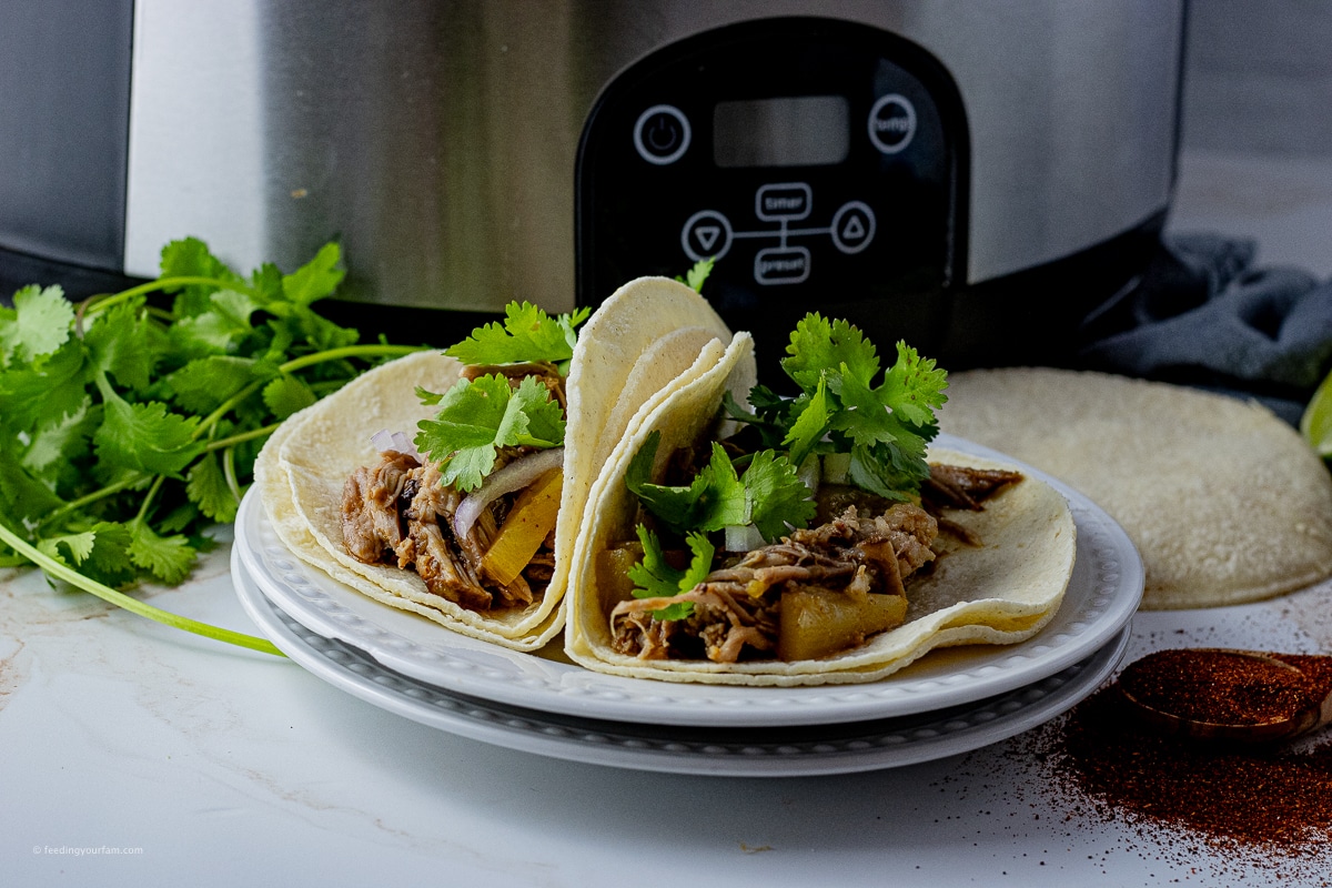 pulled pork tacos topped with cilantro and pineapple tidbits on a white plate 