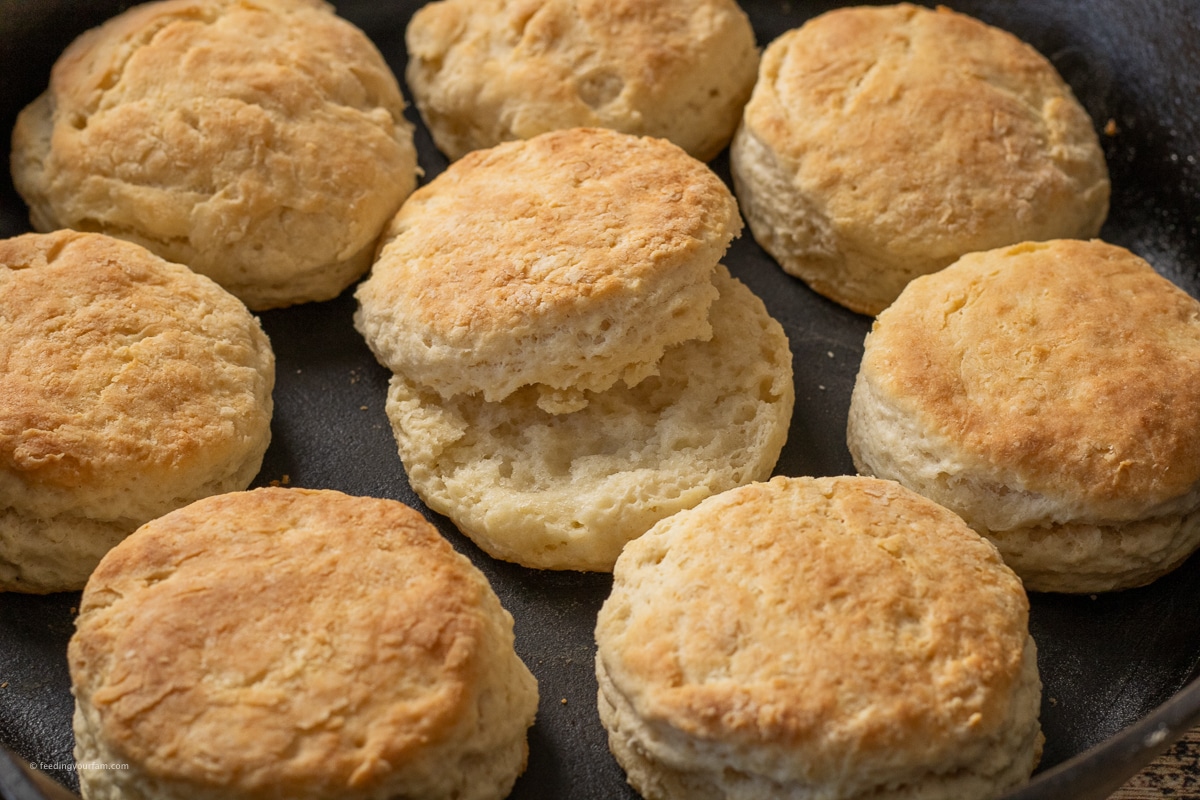 cooked biscuits in a a cast iron skillet