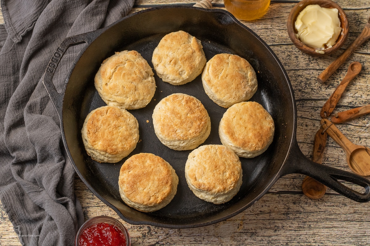 browned biscuits in a cast iron skillet