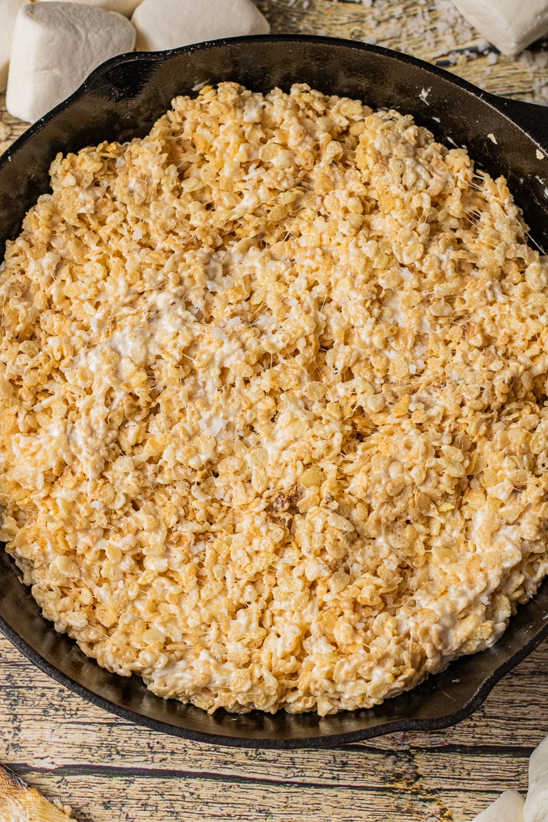 Toasted Marshmallow Rice Krispie Treats are next level delicious. The crispy, toasted bits of marshmallow mix in with the soft creamy, melted marshmallows to make a crunchy, caramel-y flavor that is hard to resist. These Rice Krispie Treats are perfect for a simple weeknight treat or make a batch for the next potluck or family get together and watch them disappear.