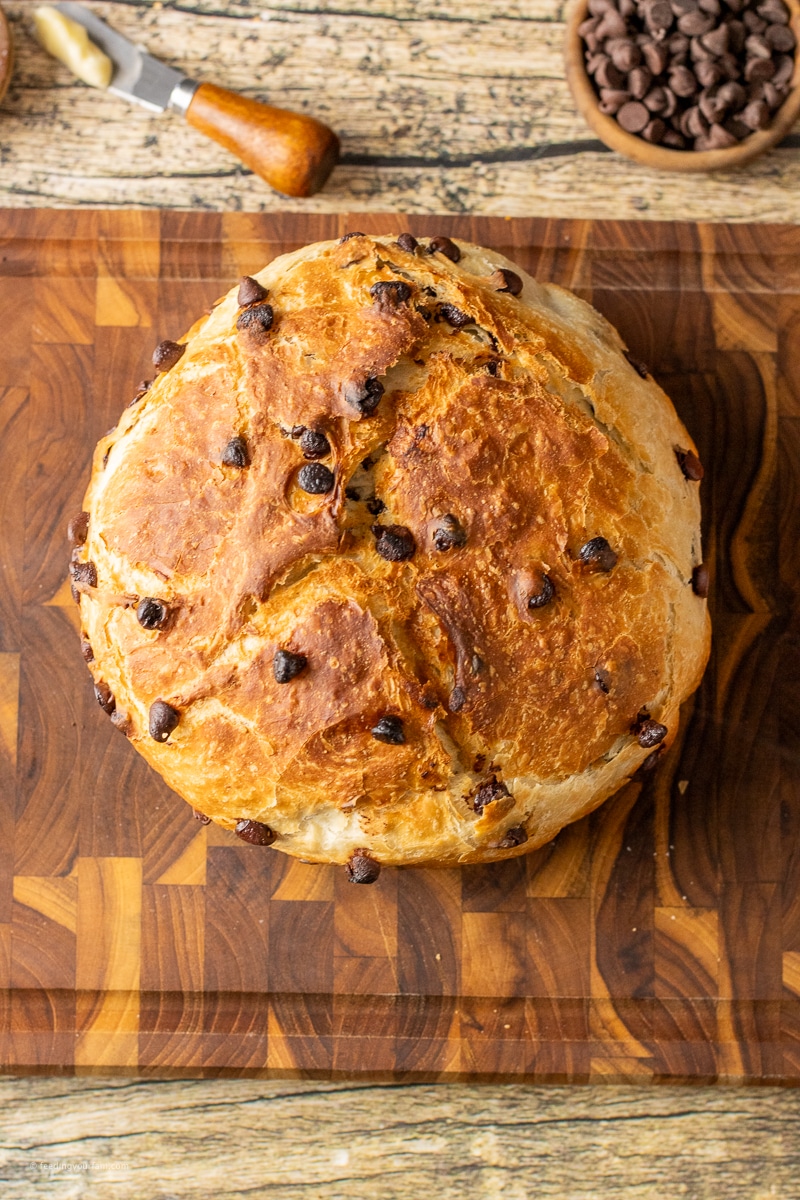 chocolate chip bread in a round loaf and baked in a cast iron dutch oven pan