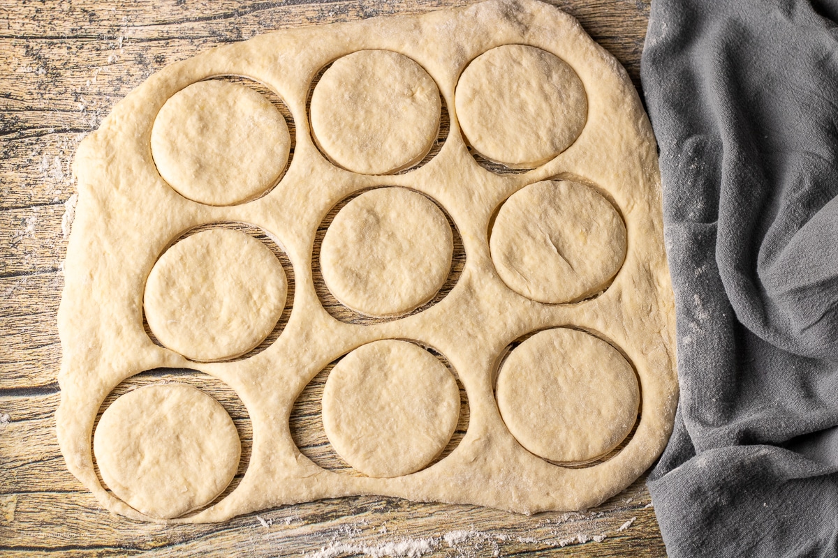 rolled out english muffin dough cut into 3 inch circles